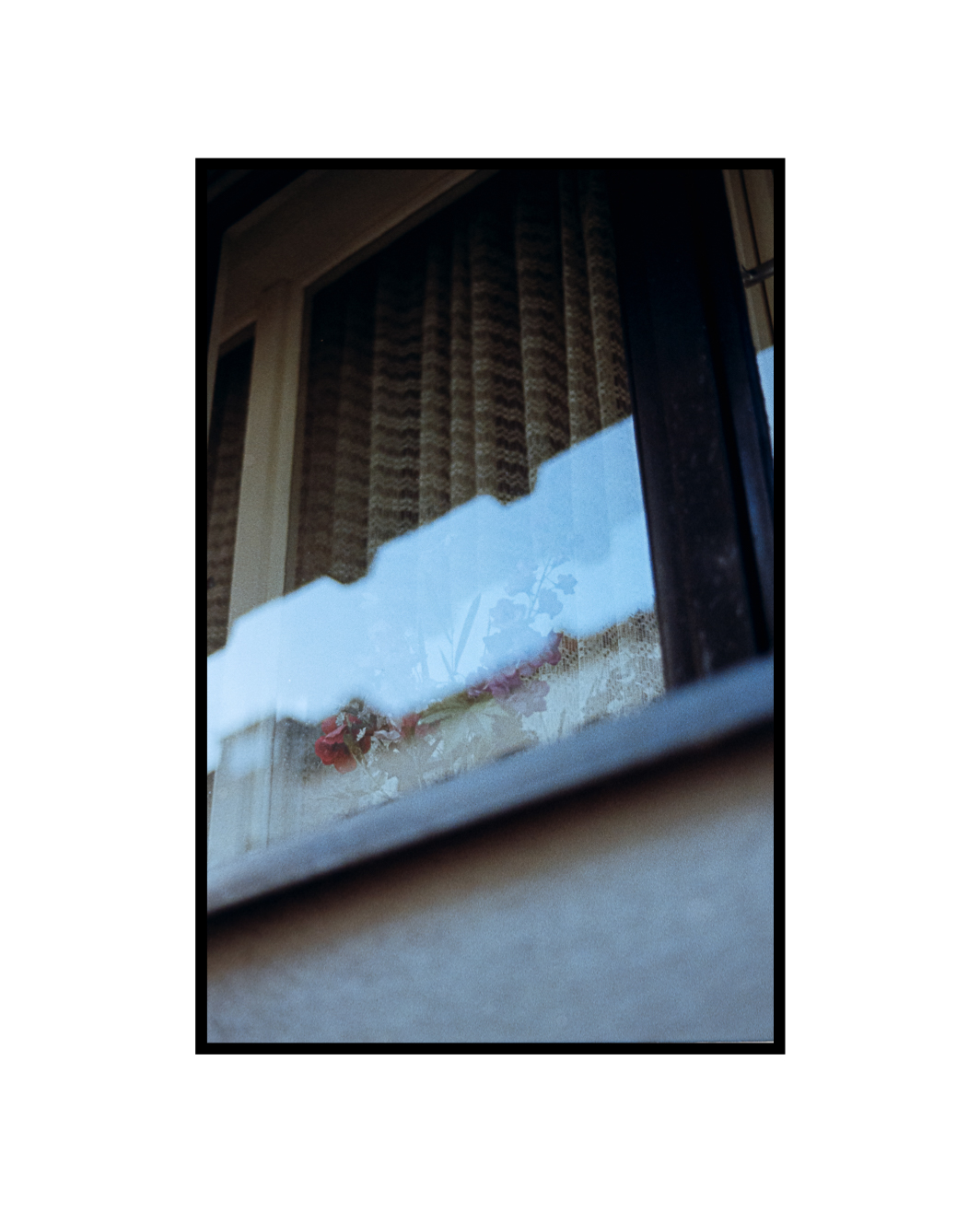 Kodak Color Plus 200-03