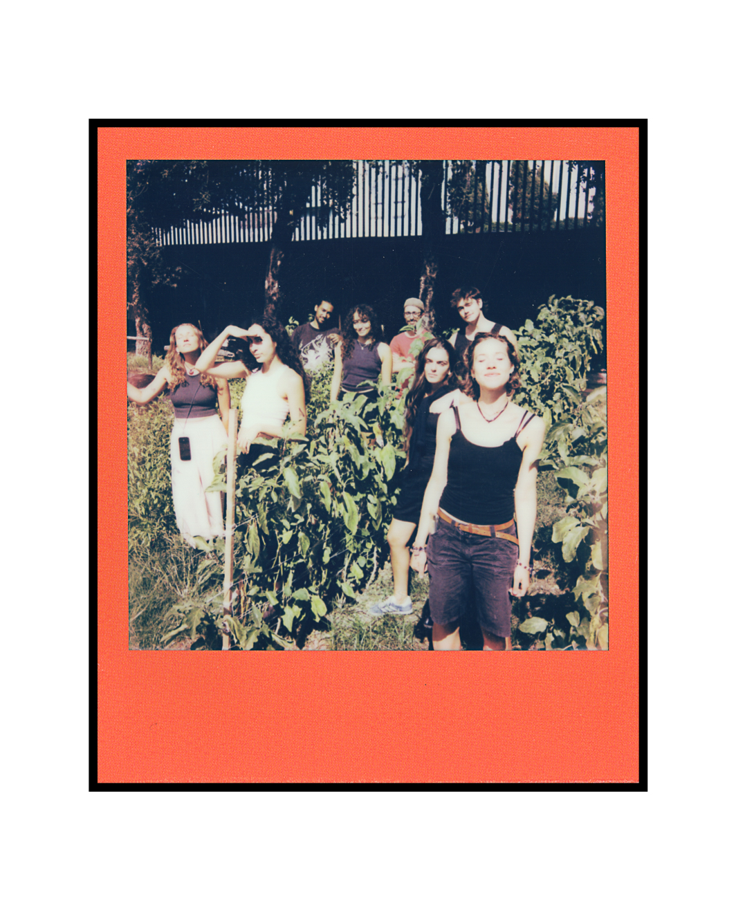 Polaroid I-Type Color Frame-03